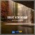 Anton Fargau Petrini - Brave New World
