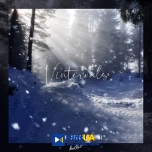 Anton Fargau Petrini - Vintervals