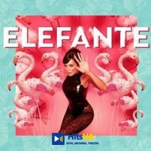 NK - Elefante