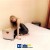Sabrina Carpenter - Feather
