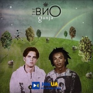 The Вйо - Космішна