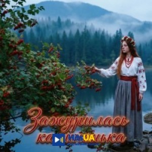 VIDEOPROFI - Зажурилась калинонька